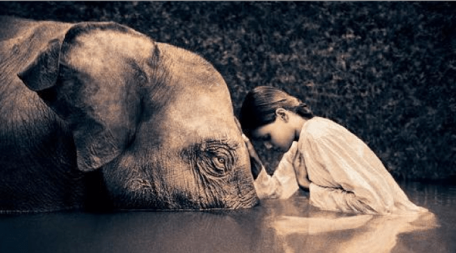 Screen Shot 2014-04-10 at 2.22.23 PM